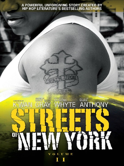 Title details for Streets of New York by Erick   S Gray - Available